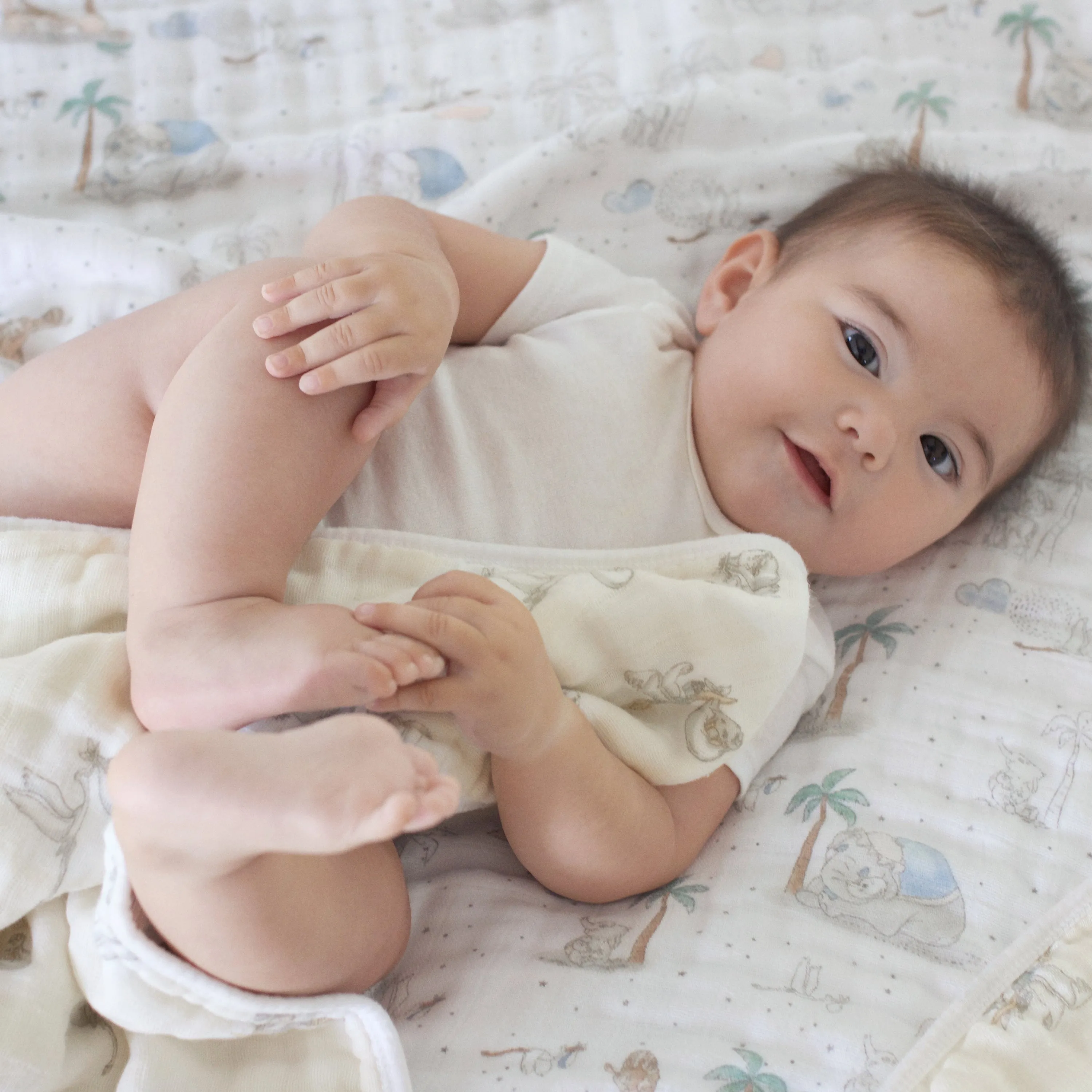 Aden   Anais my darling dumbo CLASSIC dream blanket