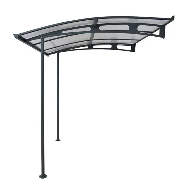 Palram Canopia Vega Door Canopy
