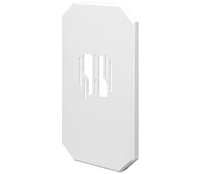 Super MEGA Siding Plate For Large Fixtures or Coach Lamps.