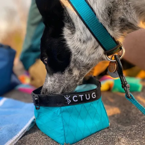 Ultra Dog Bowl by Chicken Tramper Gear
